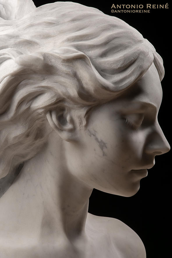 Adagio, alternate angle